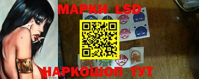 гашик Донской