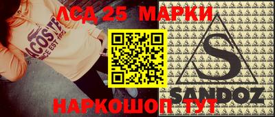 гашик Донской