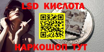 гашик Донской