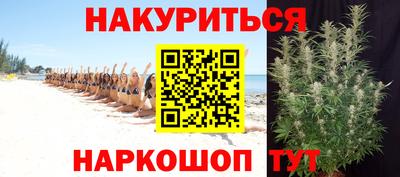 гашик Донской