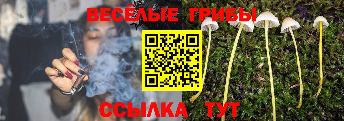 Армавир  Псилоцибиновые грибы Magic Shrooms  Вход с VPN 