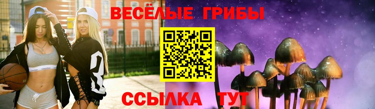Галлюциногенные грибы ЛСД Армавир